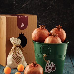 شادیا 2
