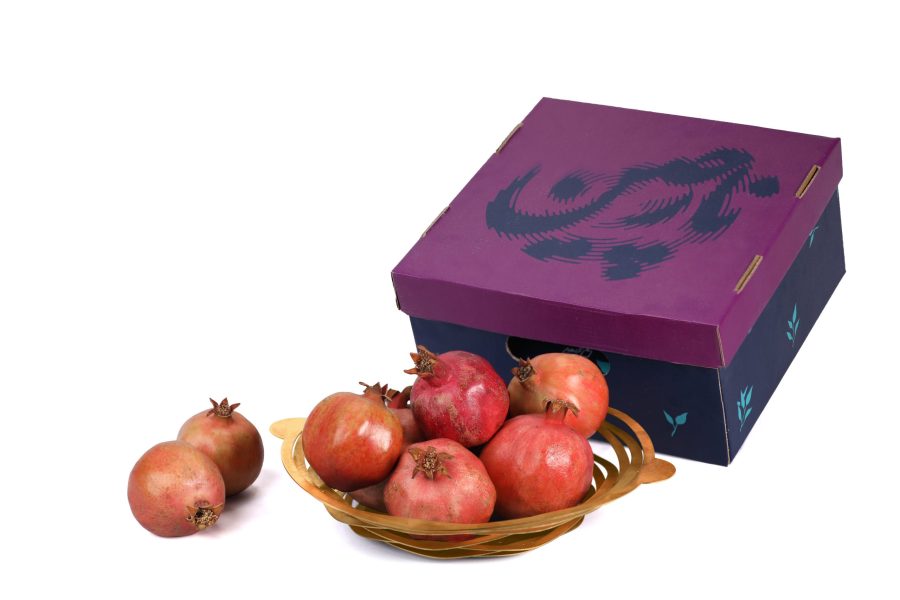 نارچین (ظرف فلزی آکاردئونی و انار)